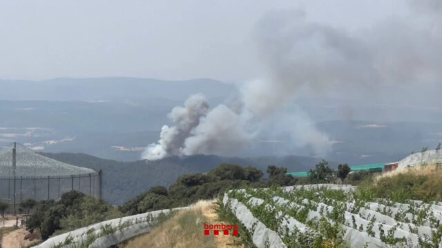 Foc de vegetació a la zona de Santa Eulàlia. Foto: Bombers