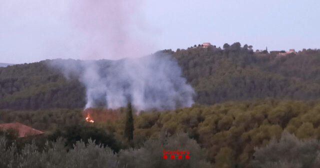 Incendi de vegetació forestal a la zona de Tresserres a Cardona